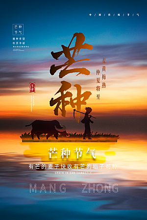 芒种节气简约大气海报