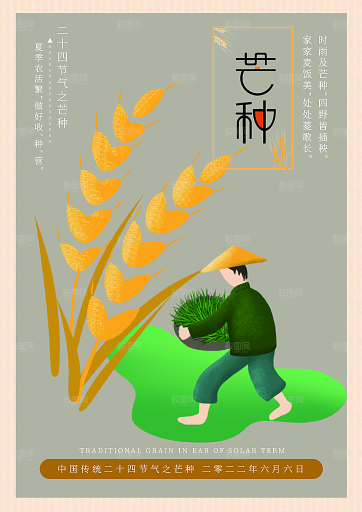 芒种节气简约大气海报