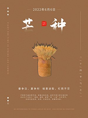 芒种节气简约大气海报