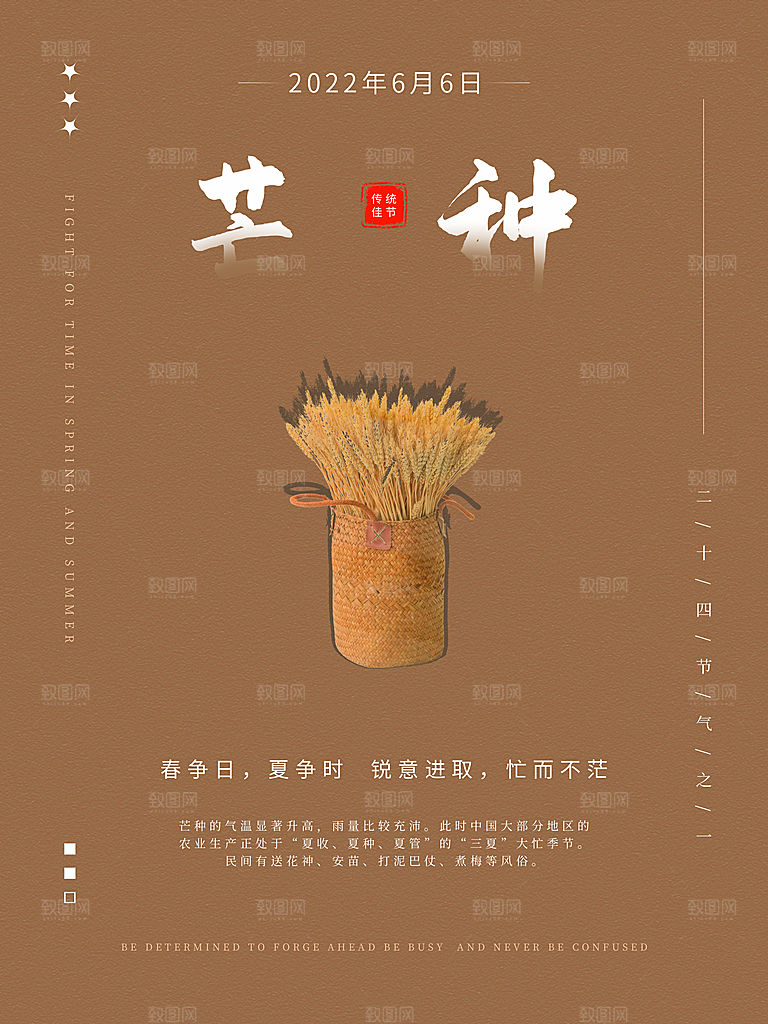 芒种节气简约大气海报