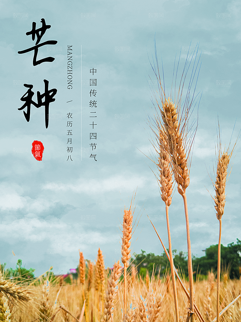 中国传统节气芒种海报模板