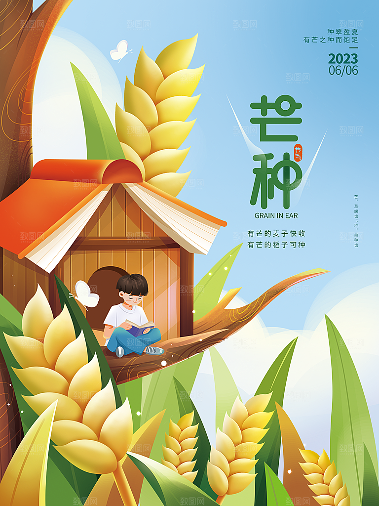 芒种节气简约大气海报