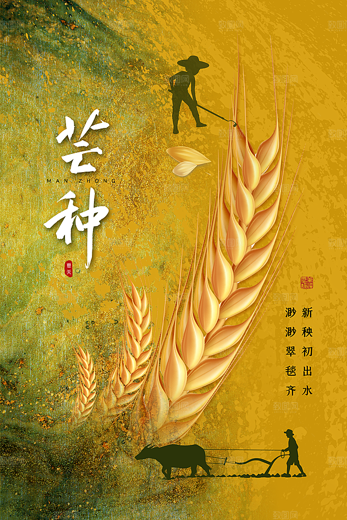 芒种节气简约大气海报