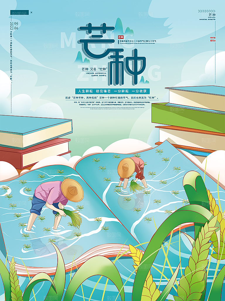 芒种节气简约大气海报