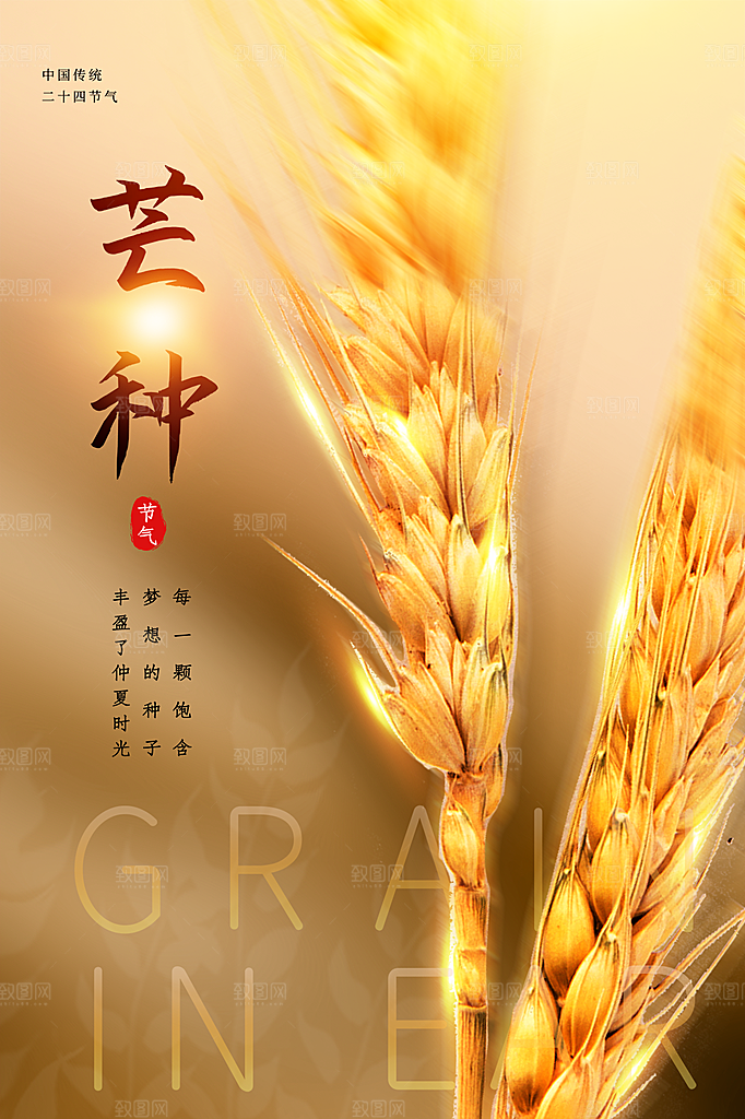 中国传统节气芒种海报模板