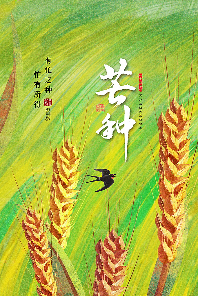 中国传统节气芒种海报模板