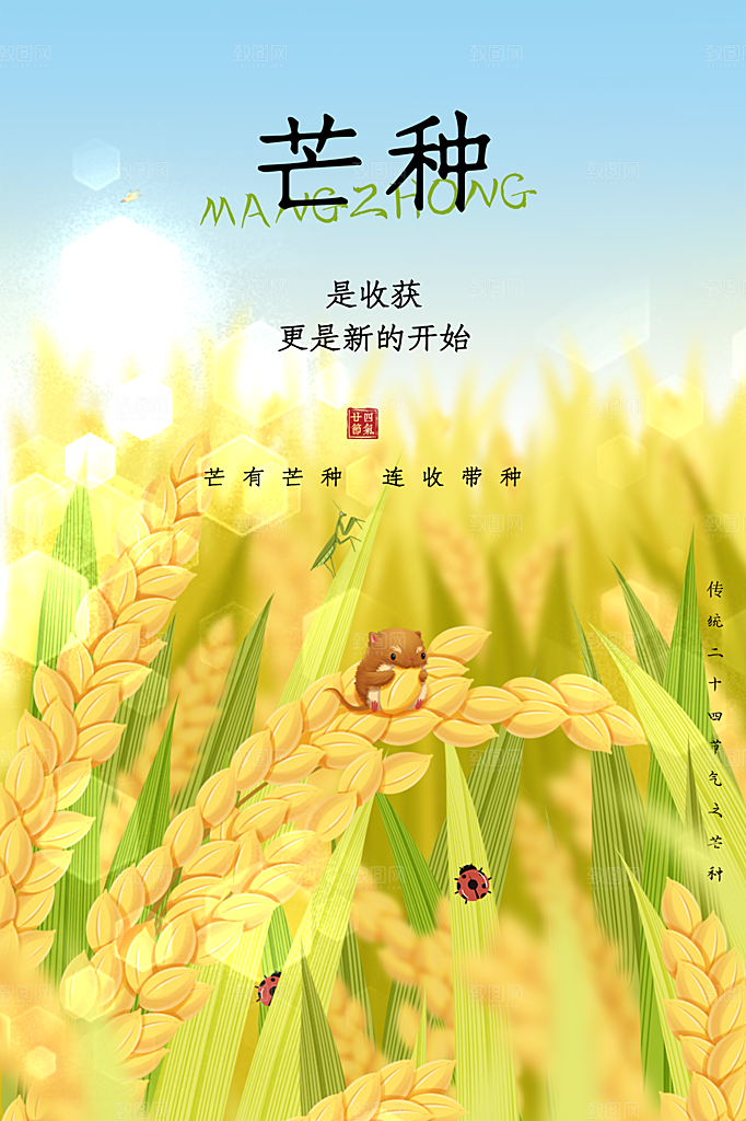芒种节气简约大气海报