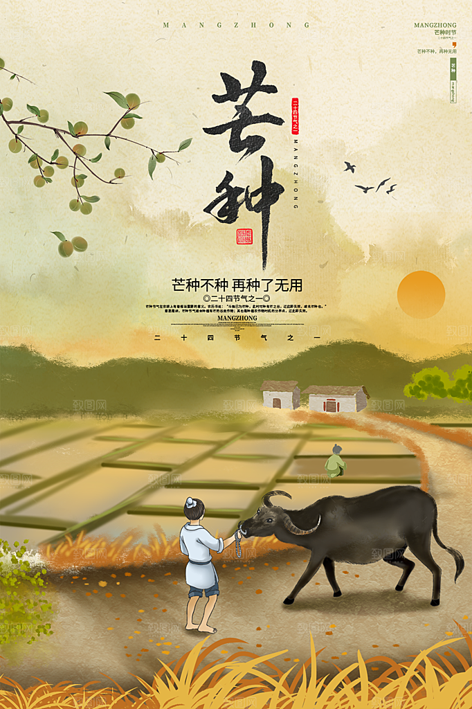 芒种节气简约大气海报