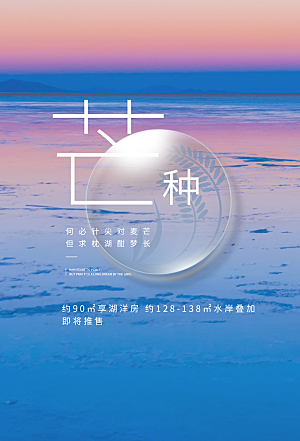 芒种节气简约大气海报
