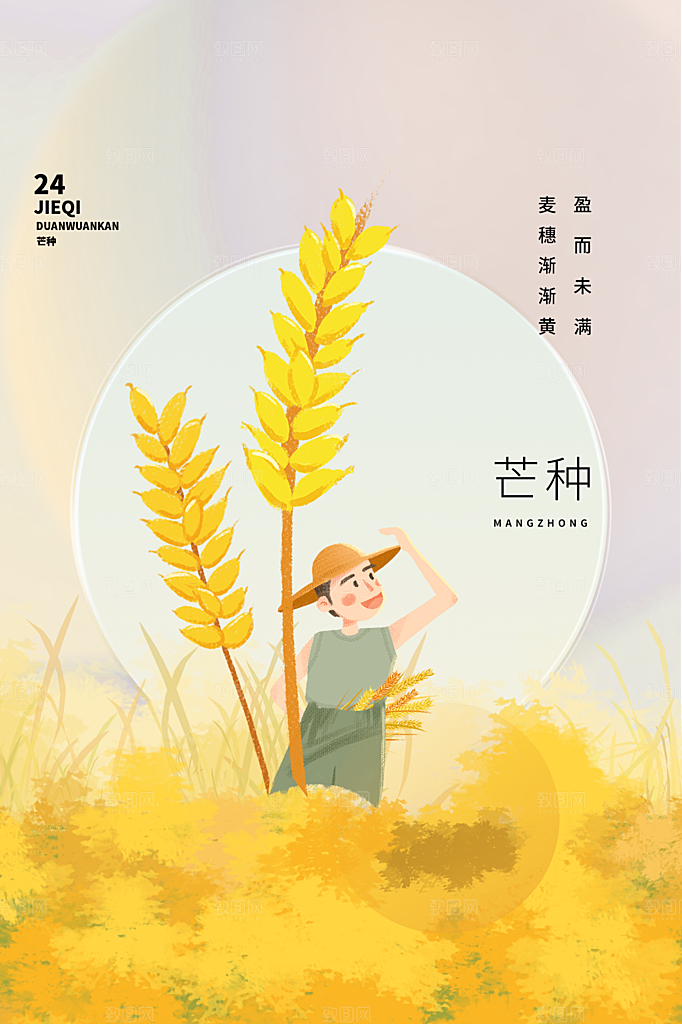 芒种节气简约大气海报
