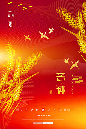 芒种节气简约大气海报