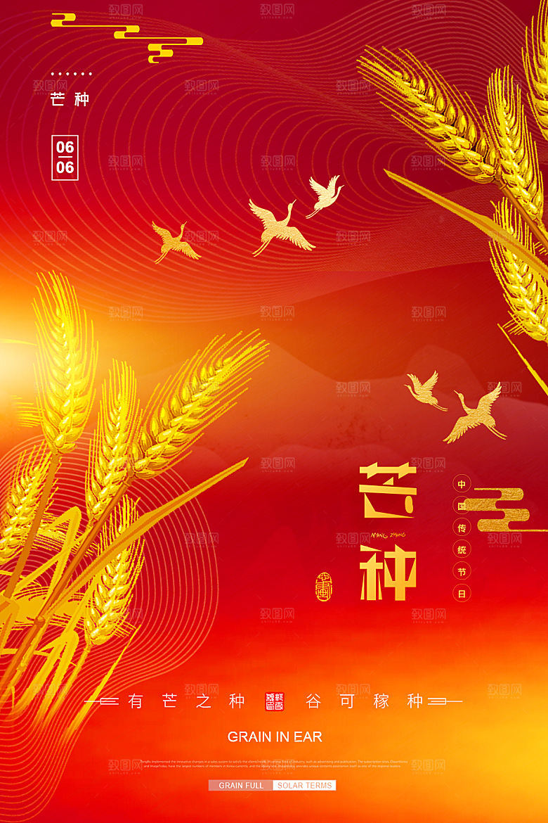 芒种节气简约大气海报