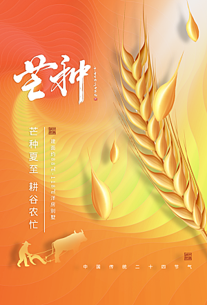 中国传统节气芒种海报模板