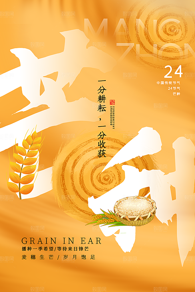 芒种节气简约大气海报