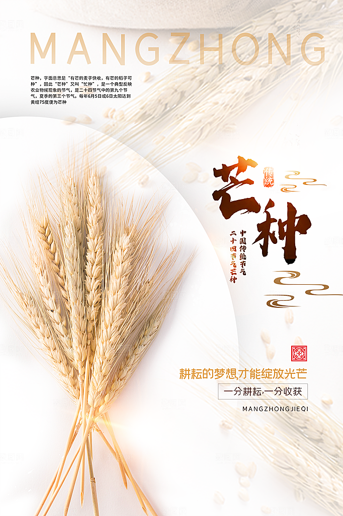 芒种节气简约大气海报
