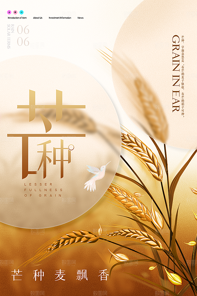 中国传统节气芒种海报模板