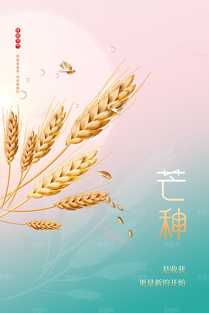 中国传统节气芒种海报模板