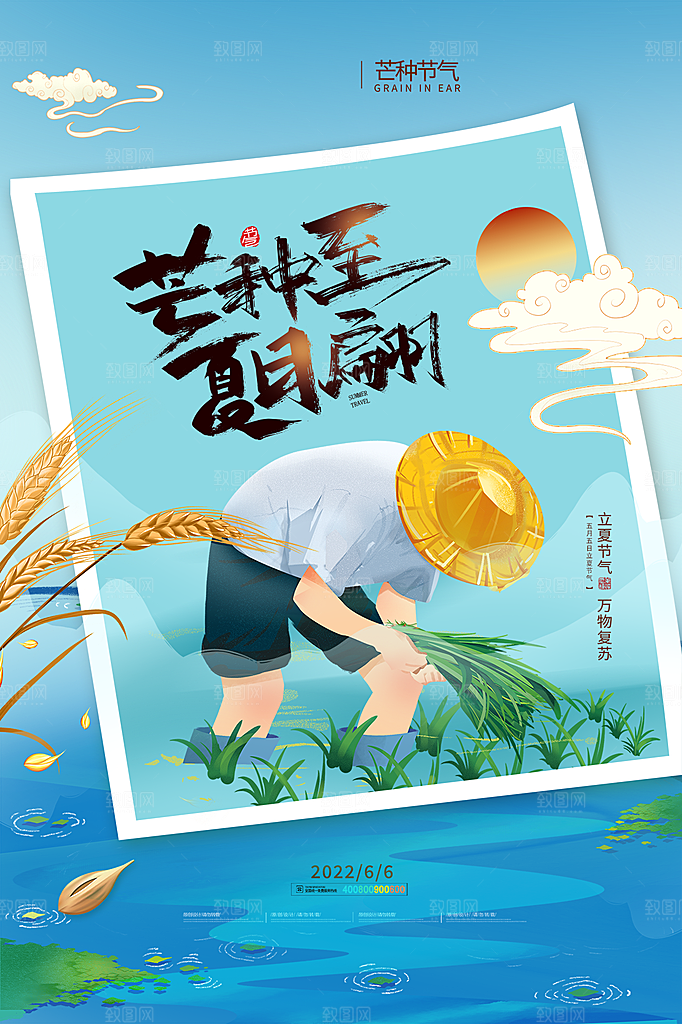 芒种节气简约大气海报