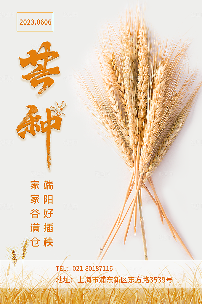 芒种节气简约大气海报