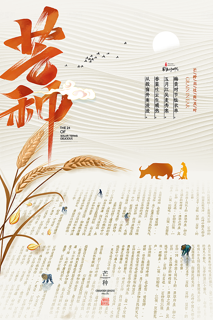 芒种节气简约大气海报