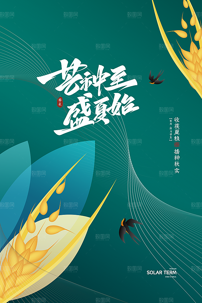 芒种节气简约大气海报
