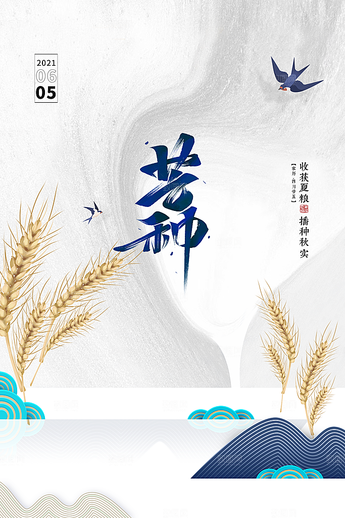 芒种节气简约大气海报