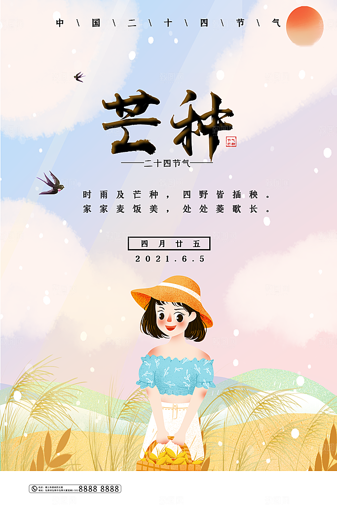 芒种节气简约大气海报