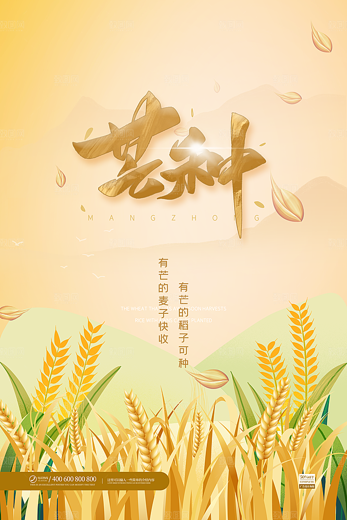 芒种节气简约大气海报