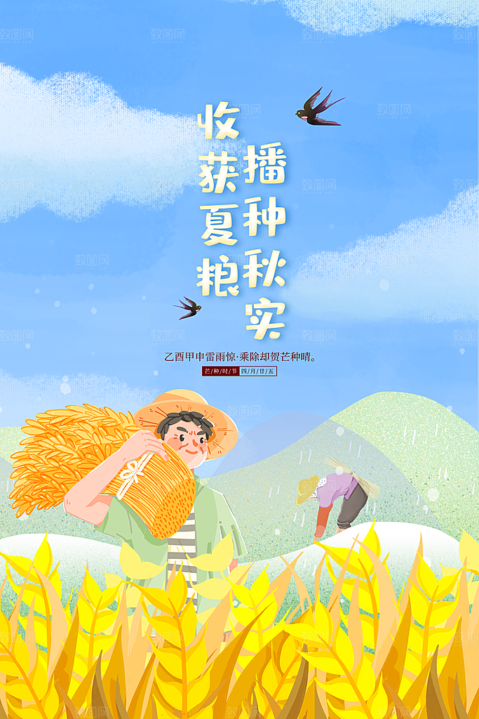 芒种节气简约大气海报