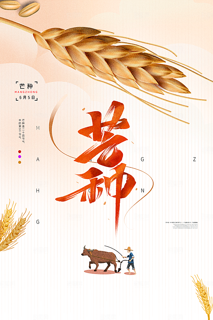 中国传统节气芒种海报模板