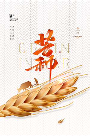 中国传统节气芒种海报模板