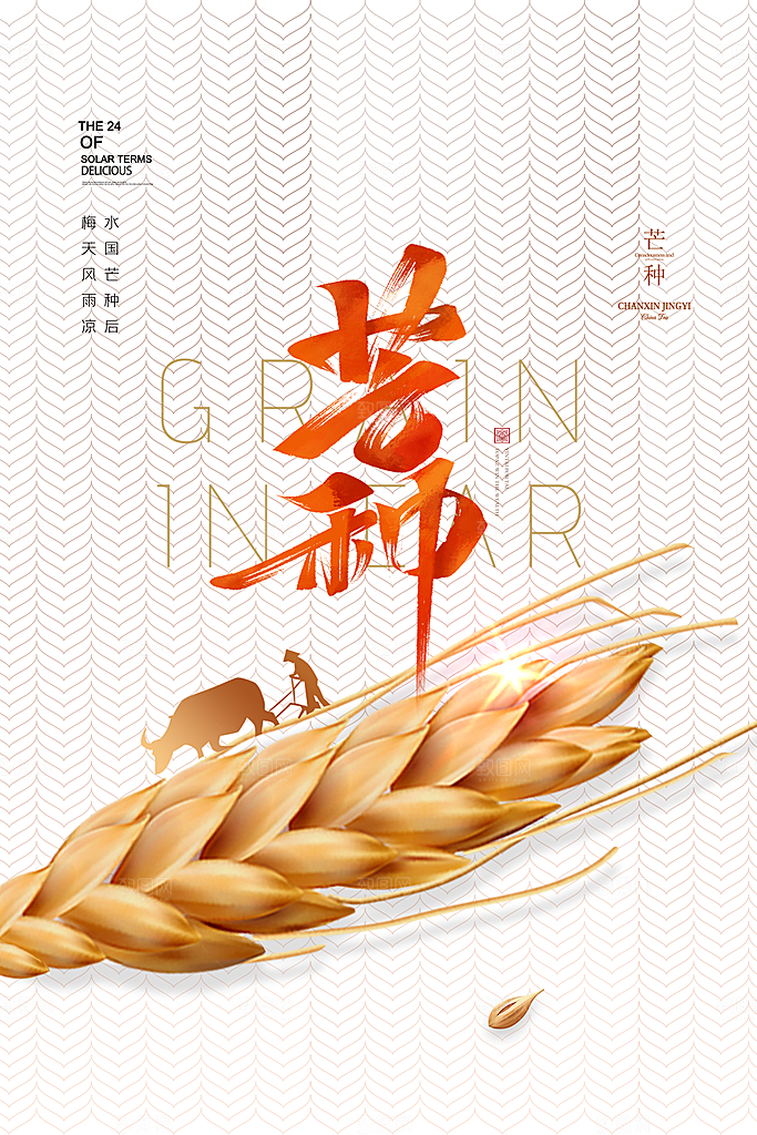 中国传统节气芒种海报模板