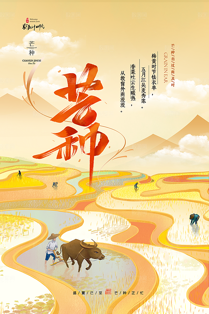 中国传统节气芒种海报模板