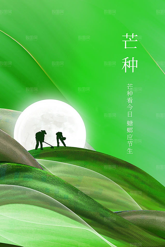 中国传统节气芒种海报模板