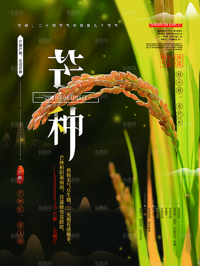 芒种节气简约大气海报