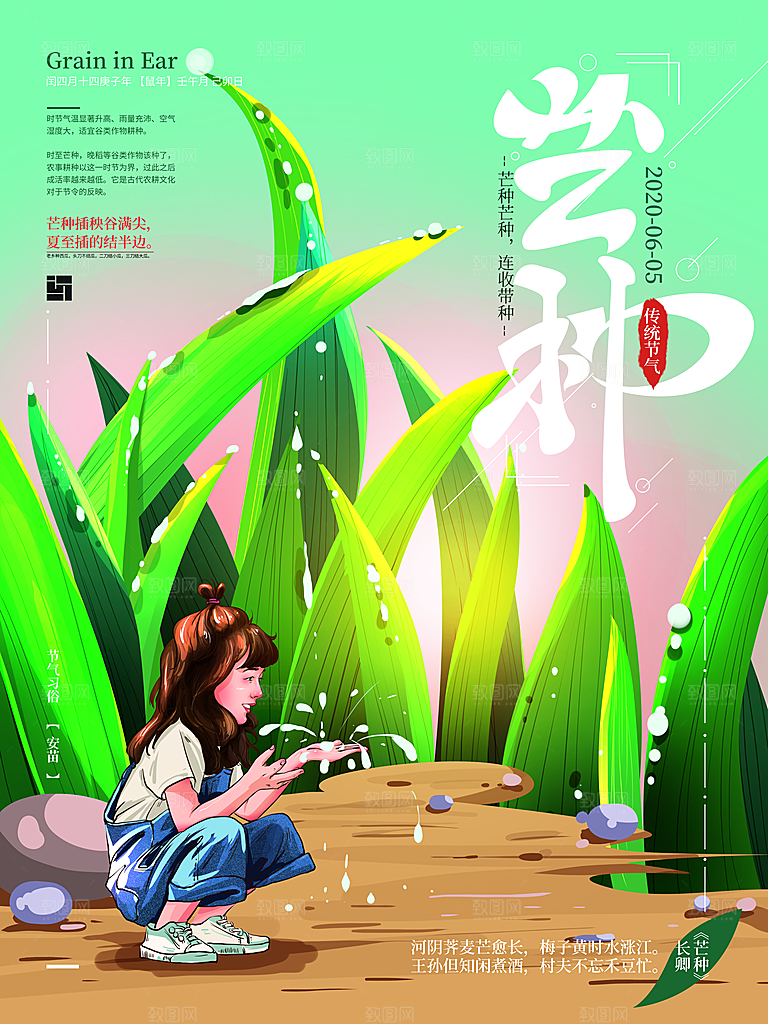 芒种节气简约大气海报