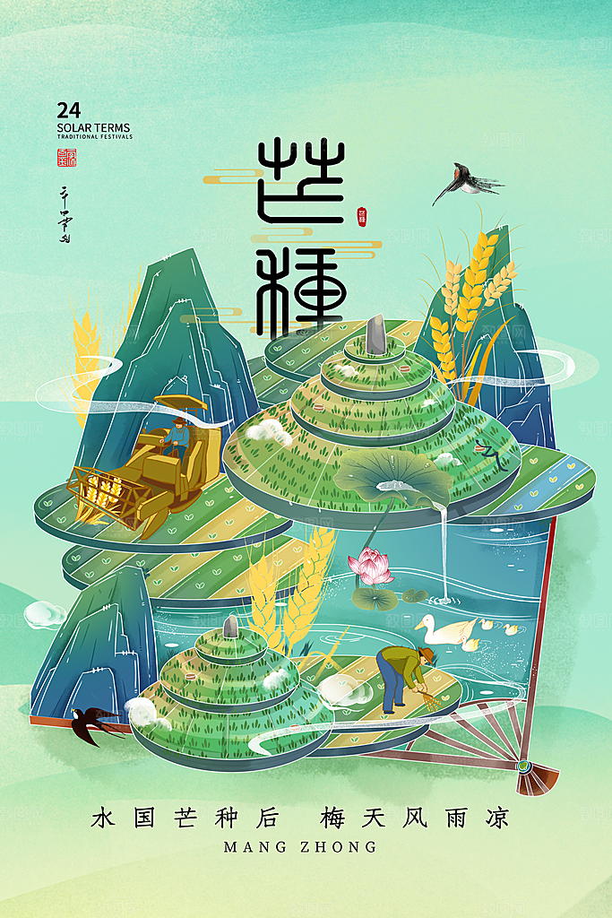 芒种节气简约大气海报