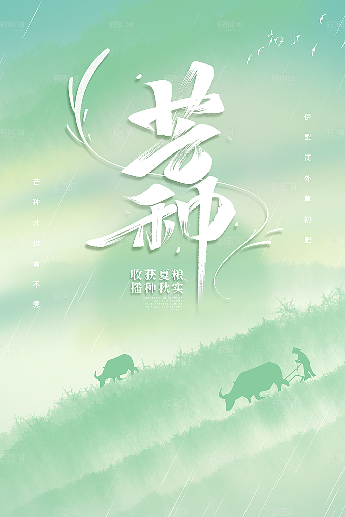 中国传统节气芒种海报模板