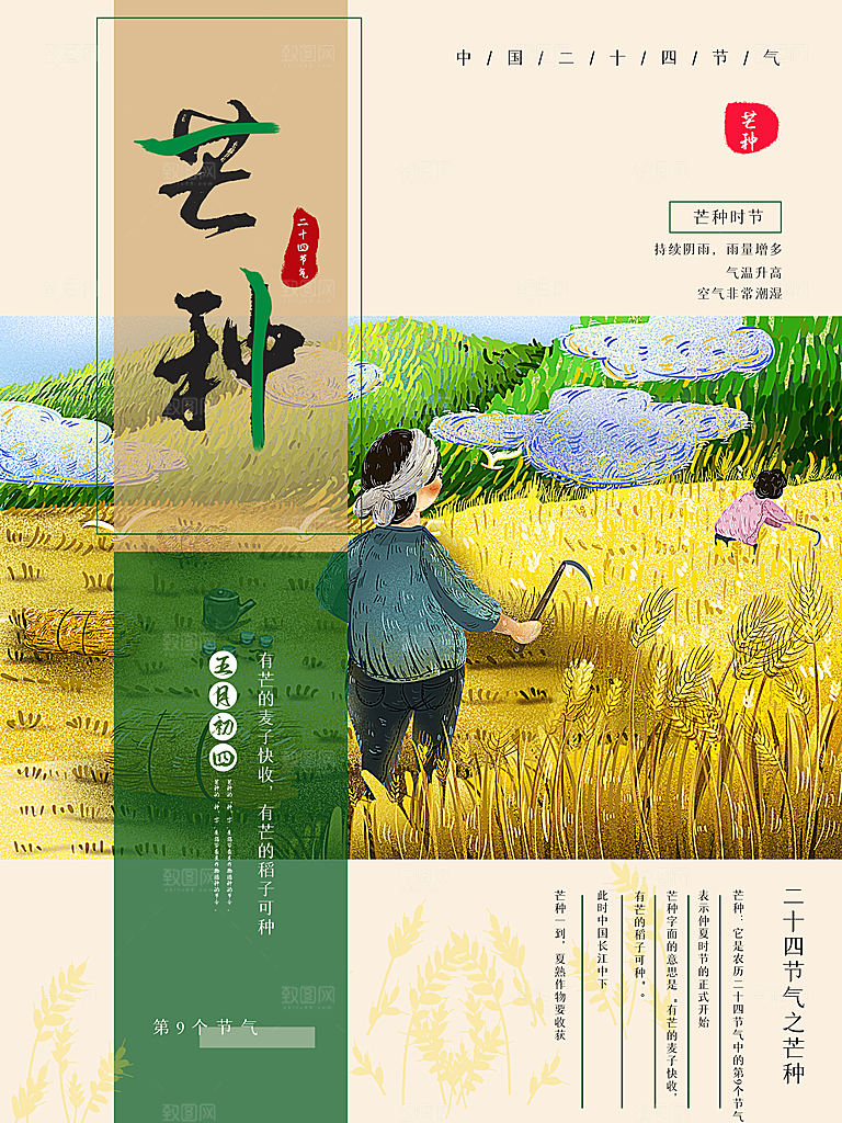 芒种节气简约大气海报