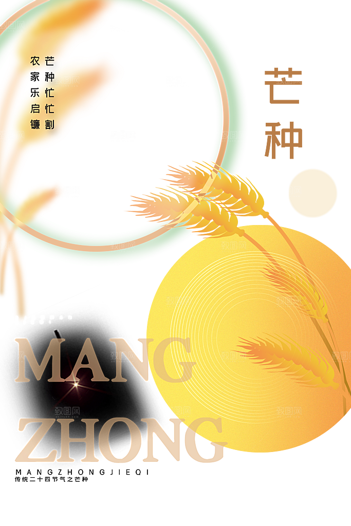 芒种节气简约大气海报