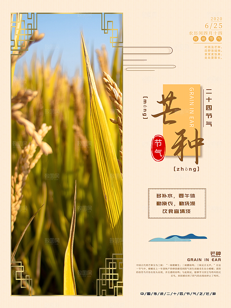 中国传统节气芒种海报模板