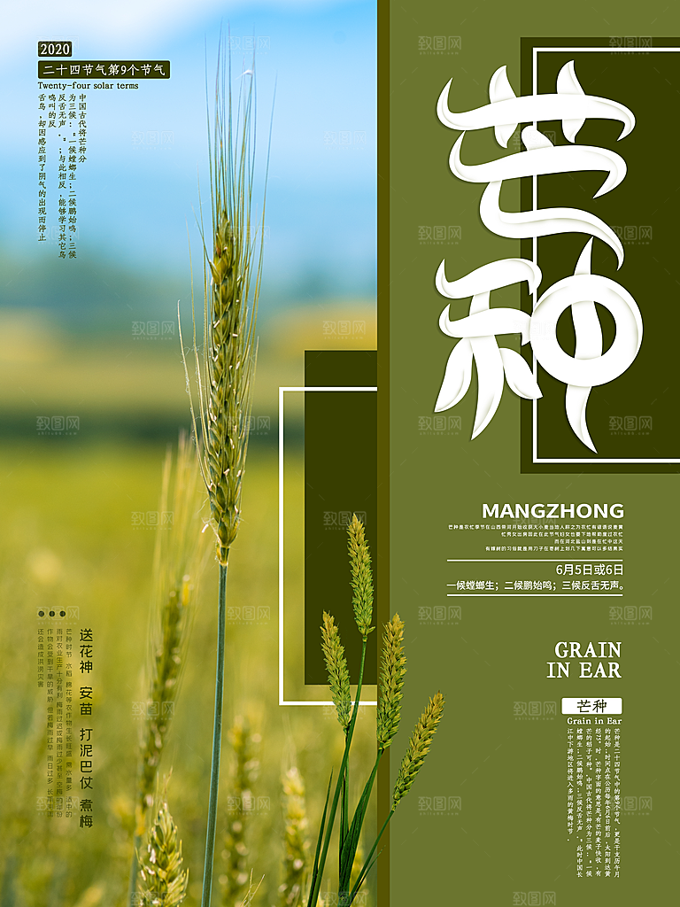 中国传统节气芒种海报模板