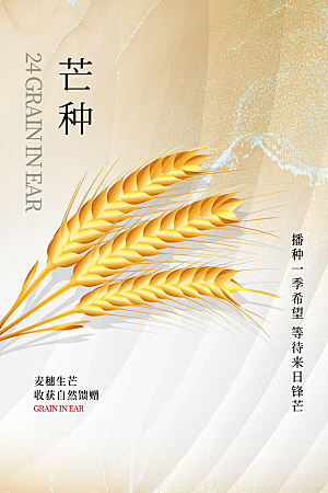 中国传统节气芒种海报模板