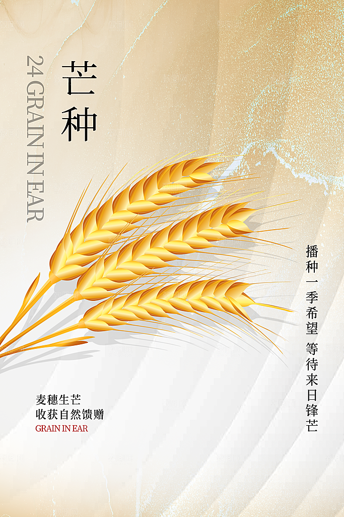 中国传统节气芒种海报模板