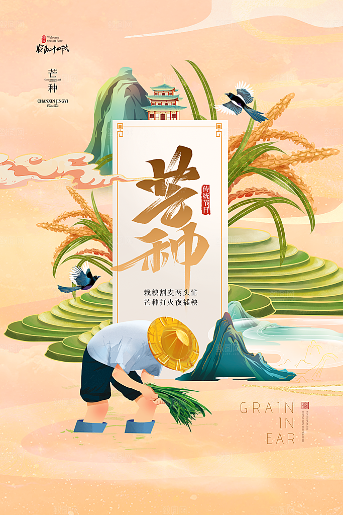中国传统节气芒种海报模板