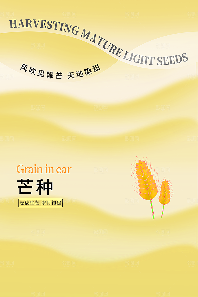 芒种节气简约大气海报