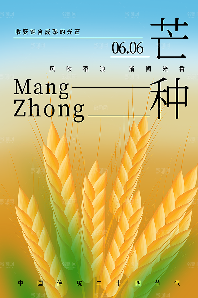 芒种节气简约大气海报