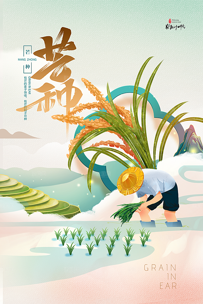 芒种节气简约大气海报