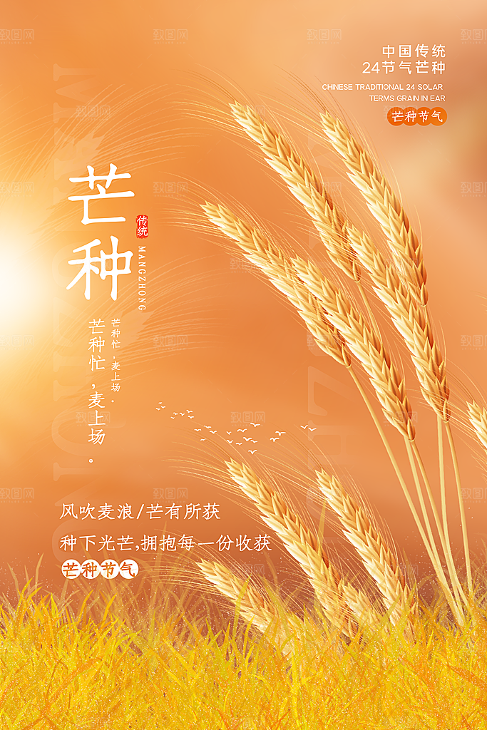 中国传统节气芒种海报模板