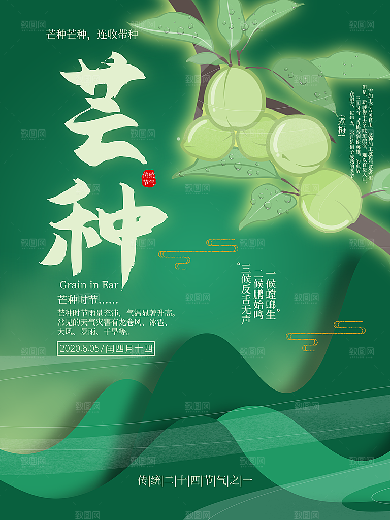 中国传统节气芒种海报模板